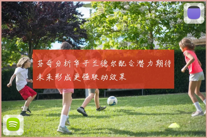 芬奇分析华子兰德尔配合潜力期待未来形成更强联动效果
